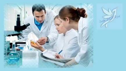 Cicoare - modă sau beneficiu (cicoare) Cicoare - moda sau beneficii