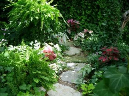 Decorarea unei căi de grădină cu propriile sale mâini