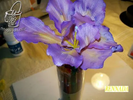 Flori cu propriile sale mâini, master-class iris (ei) Flori cu propriile sale mâini, iris maestru de clasă