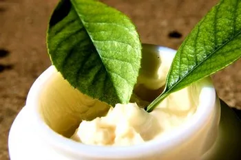 norme Creme de gătit acasă, rețete