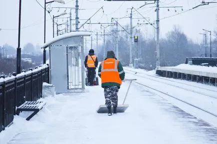 Janitor - valoare de referință meu