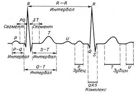 ECG inimă - indicații, pregătirea, punerea în aplicare și electrocardiograme descifrare (mărturie) ECG inimă - indicații, pregătirea, punerea în aplicare și electrocardiograme descifrare