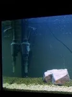 Filtru pentru acvariu cu propriile lor mâini