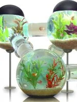 Filtru pentru acvariu cu propriile lor mâini