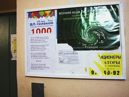 Daca prietenul tau canin cu bucurie căcat dintr-o dată ... 