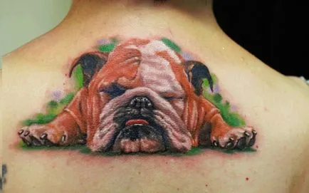 Fotografii și importanța tatuaj câine