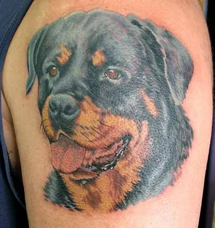 Fotografii și importanța tatuaj câine