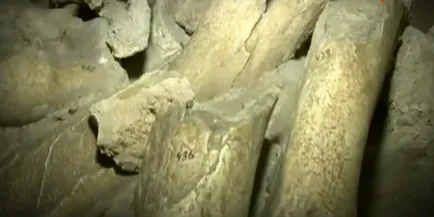 Ipoteza de arheologi în care a apărut primul om (Alexey Palkin cercetător) Ipoteza de arheologi în cazul în care a apărut primul om
