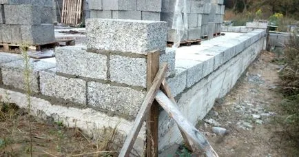 Clădirea principală găzduiește eroarea de arbolita