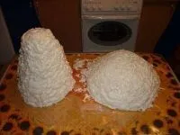 Ciuperca de spumă