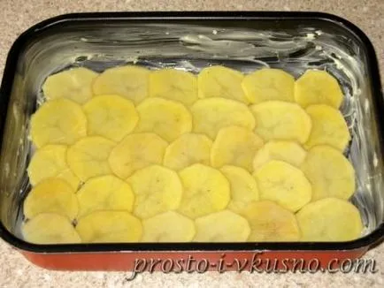 cartofi gratin
