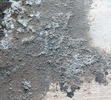 Amorsarea înainte de vopsire tavan cu mâinile