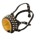 Magazin online fordogtrainers