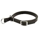 Magazin online fordogtrainers