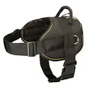 Magazin online fordogtrainers