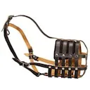 Magazin online fordogtrainers