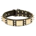Magazin online fordogtrainers