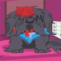 Jocuri de îngrijire pentru animale de companie - joaca online gratis!