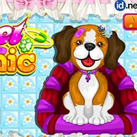 Jocuri de îngrijire pentru animale de companie - joaca online gratis!