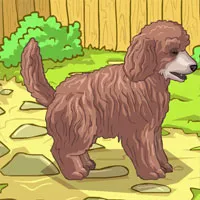 Jocuri de îngrijire pentru animale de companie - joaca online gratis!
