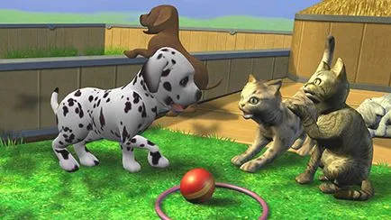 Jocuri de îngrijire pentru animale de companie - joaca online gratis!