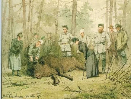fapte interesante despre Pădurea Bialowieza - întreaga Belarus