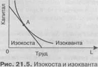 Isoquant și Isocost 1