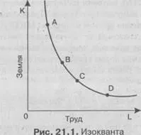 Isoquant și Isocost 1