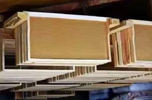 Efectuarea de cadre pentru dimensiunea stupilor, materiale, recomandări, iepuri și iepuri