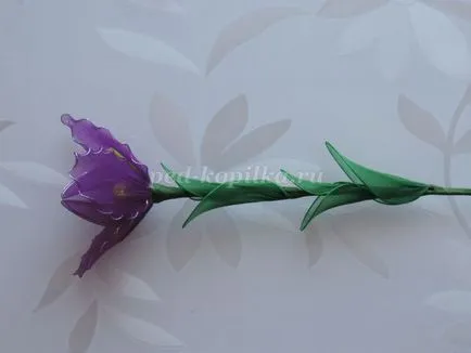 Irisi din nailon cu mâinile lor