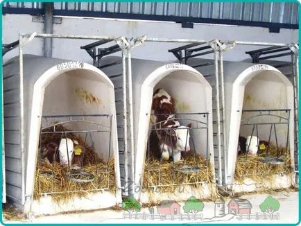 Fabricația vărsat pentru vaci cu diagrame mâini și fotografii (magazia) Fabricația vărsat pentru vaci cu diagrame mâini și fotografii