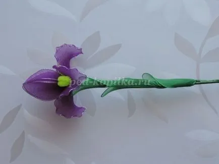 Irisi din nailon cu mâinile lor