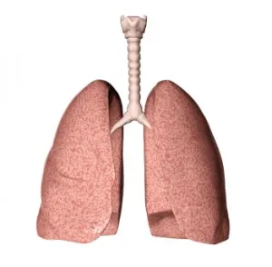 Cum de a crește rapid capacitatea pulmonară (volum) Cum de a crește rapid cantitatea de lumină