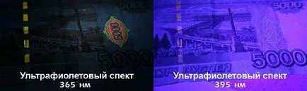 Cât de repede se facă distincția reală din permisul de conducere fals lui