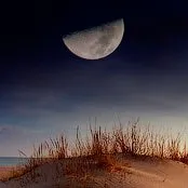 Cum de a fotografia luna 1