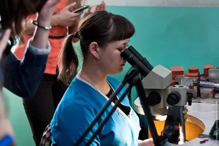 Cum de a face bijuterii, mai proaspăt - cel mai bun din ziua în care ați avea nevoie vreodată! (Fresher) Cum de a face bijuterii, mai proaspăt - cel mai bun din ziua în care ați avea nevoie vreodată!