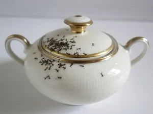 Cum să scapi de furnici în casă pentru totdeauna, decât să lupte și cum să aducă insecte