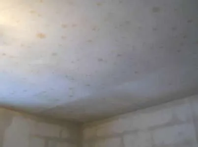 Care sunt consecințele dacă părăsiți casa, fără încălzire în timpul iernii și de căldură (sosire) Care sunt consecințele dacă părăsiți casa, fără încălzire și de încălzire în timpul iernii