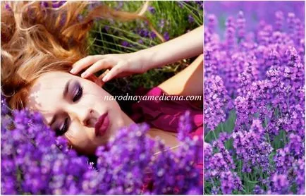 Ce plante medicinale sunt utile pentru păr decoct de plante pentru clătire de păr, blog Alena Kravchenko (ce) Ce plante medicinale sunt utile pentru păr decoct de plante pentru clătire de păr, blog Alena Kravchenko