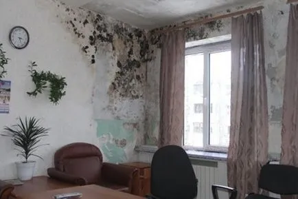 Care sunt consecințele dacă părăsiți casa, fără încălzire și de încălzire în timpul iernii (mobilier) Care sunt consecințele dacă părăsiți casa, fără încălzire și de încălzire în timpul iernii