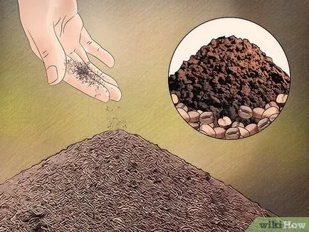 Cum sa scapi de furnici folosind remedii naturale