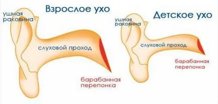 Cum picurare peroxid de hidrogen în curățarea ureche ureche de blocaje de trafic în copil (picurare) Cum picurare peroxid de hidrogen în curățarea ureche ureche de blocaje de trafic în copil