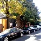фрудизијак скандинавско