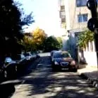 евалуација скандинавско