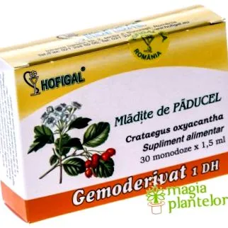 mladite