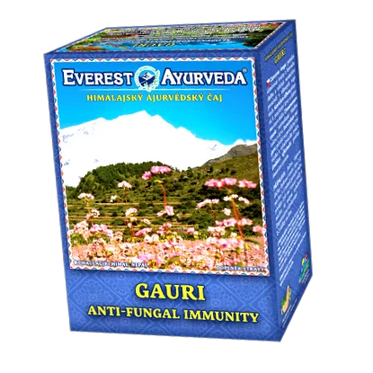 Everest Ayurveda