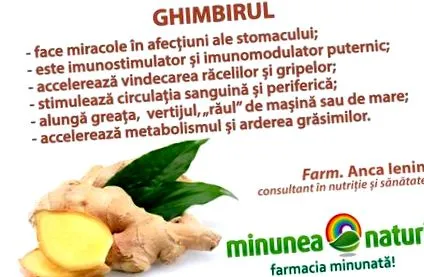 gyomor immunitás