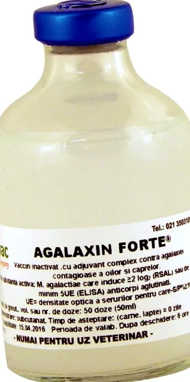 állatorvosi
