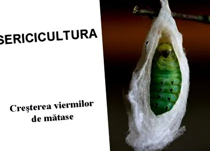 gyógyszeres kezelése
