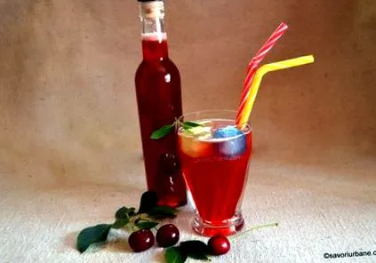 зимски домашен